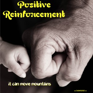 Positive-Reinforcement-300x300.png